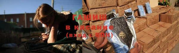 трава Ессентукская