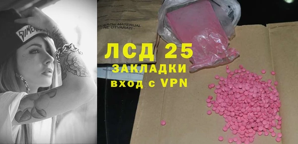 трава Ессентукская