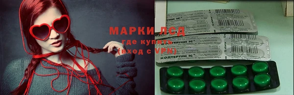 трава Ессентукская