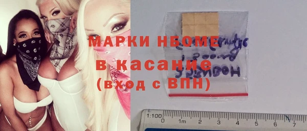 трава Ессентукская