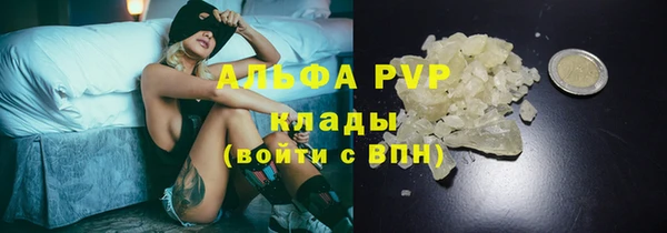 трава Ессентукская