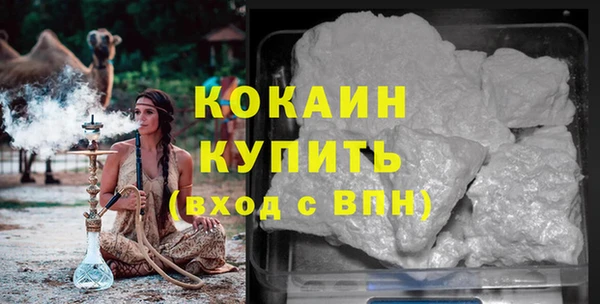 трава Ессентукская