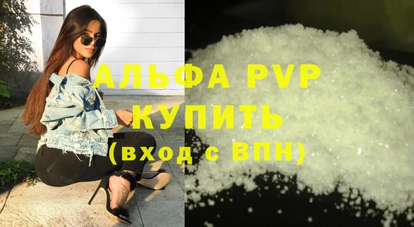 трава Ессентукская