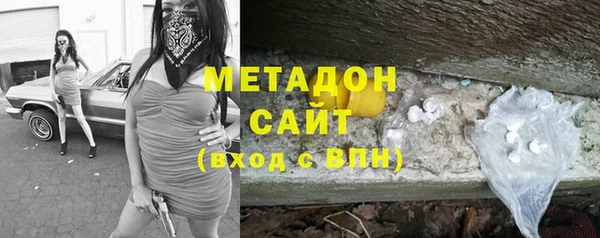 трава Ессентукская