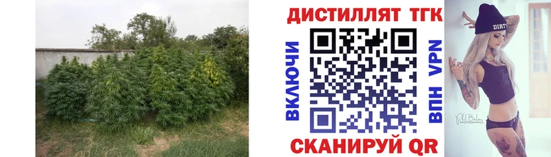 Купить закладки  Лукоянов  ТГК жижа 